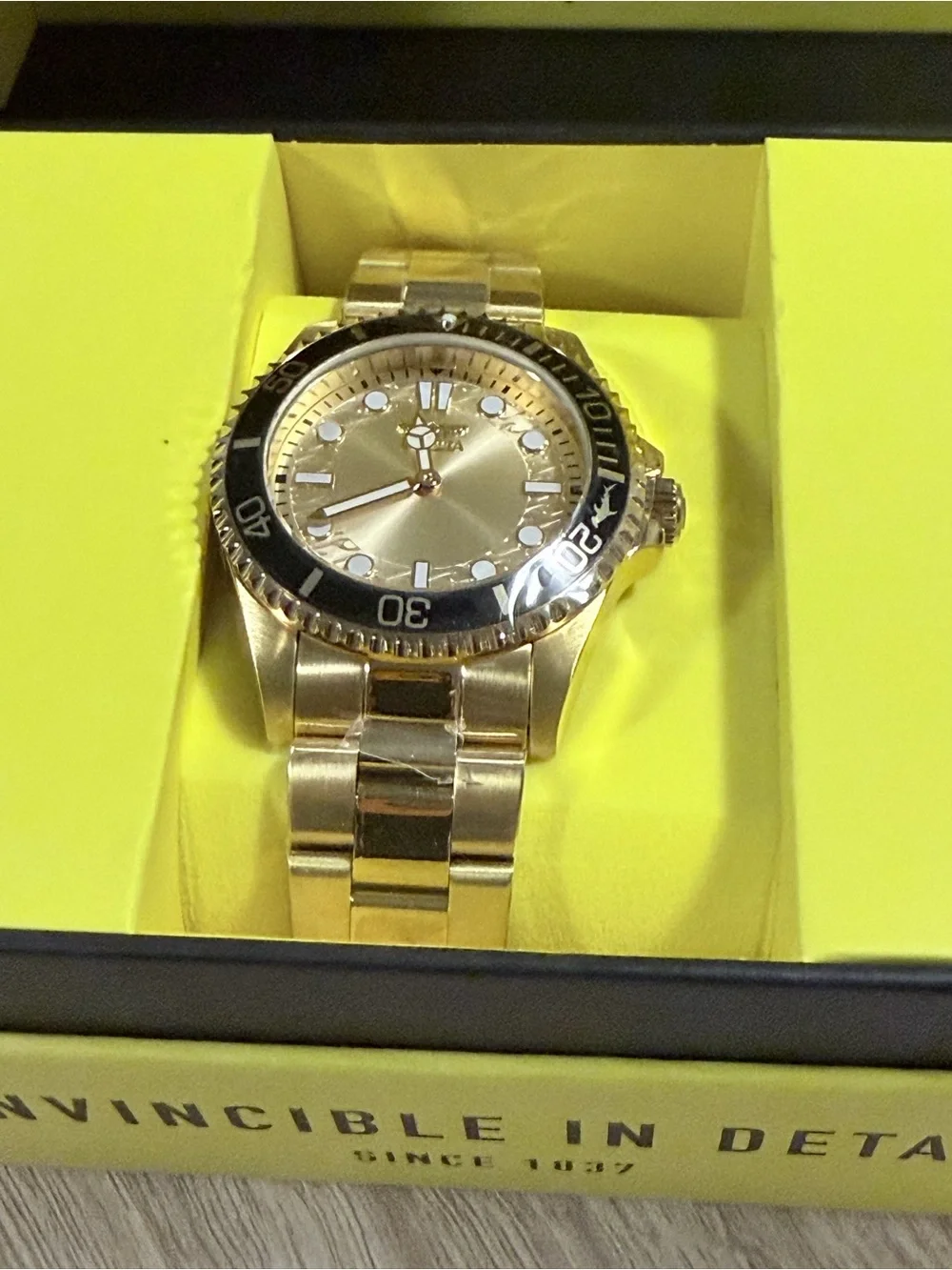 The Invicta Pro Diver 